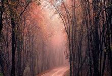 太阳城体育：葡萄牙加时-淘汰丹麦进四强，C罗破门+失点，特林康双响.