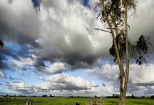 严师出高徒！周继红曾骂哭陈若琳：训练不主动，体重不控制，受伤不坚持.