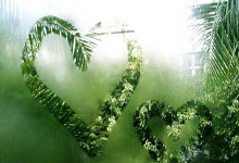 威尔斯50+6王岚嵚20+7 辽宁26分大胜复仇新疆.