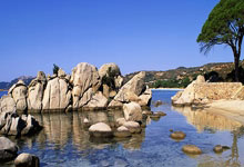 足总杯1／4决赛裁判：阿特维尔执法伯恩茅斯vs曼城.